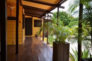1 Garden Apartment - Jan Kok Lodges Curacao