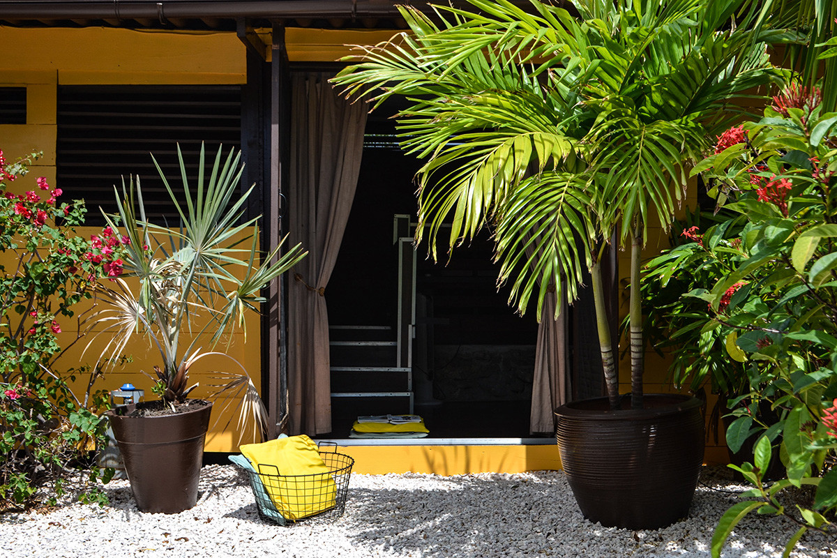 Garden Apartment - Jan Kok Lodges Curacao